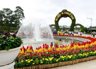 SAIGON - DALAT - MUINE - SAIGON TOUR 7 DAYS 6 NIGHTS (Private tour)